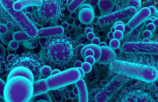 Aerobic bacteria vs. Anaerobic bacteria