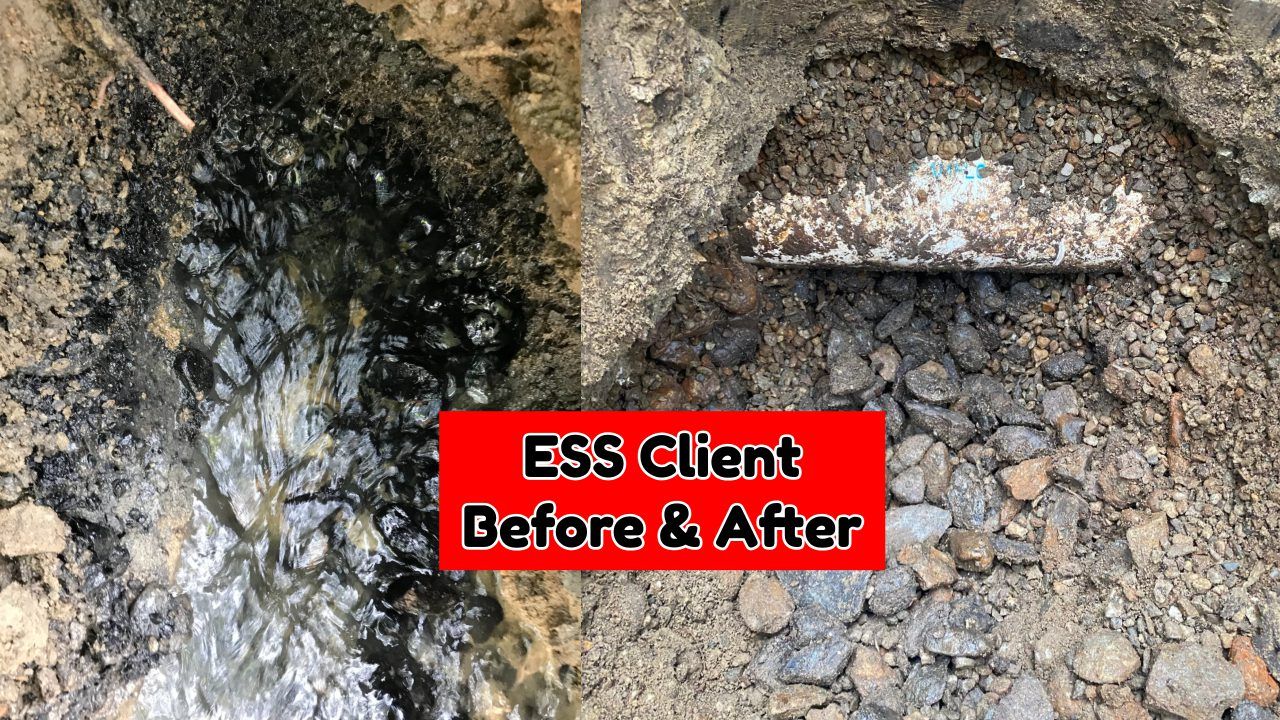 Everlasting Septic System Client Before and After